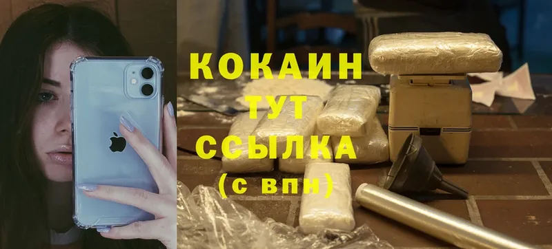 COCAIN Fish Scale  OMG ссылки  Гай 